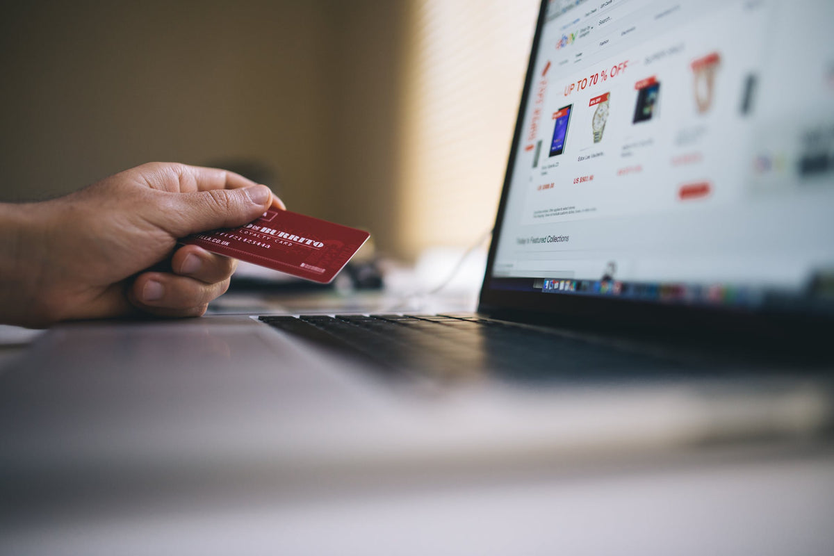 Paid Shopify themes