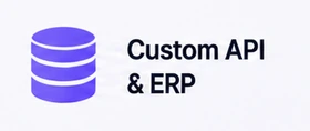 Custom API and ERP